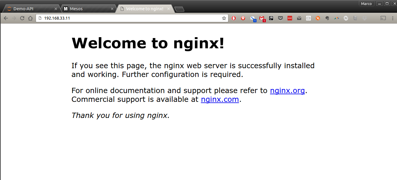 Nginx default home page